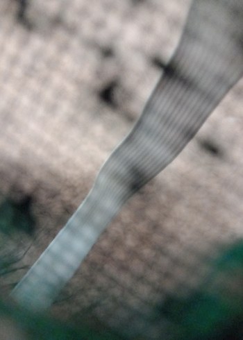 therian maskesi calico cat - Görsel 5