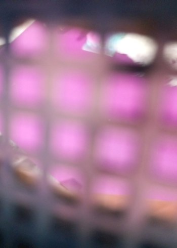 Tilki therian maske - Görsel 6