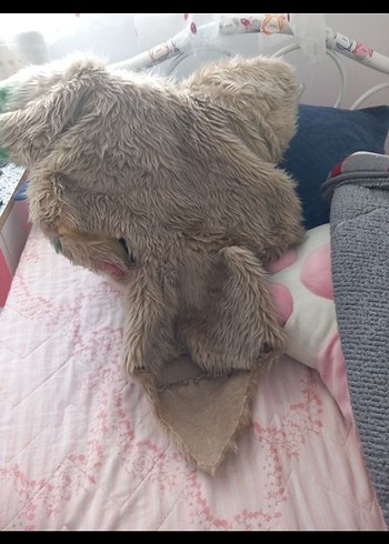 Kahverengi fursuit - Görsel 4