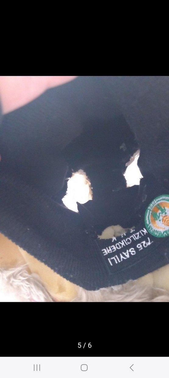 Kahverengi fursuit - Görsel 5