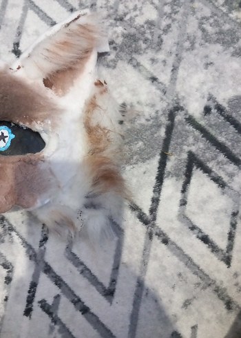 Siyam Kedi Therian mask - Görsel 2