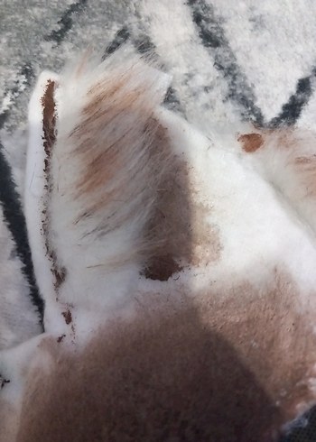 Siyam Kedi Therian mask - Görsel 7