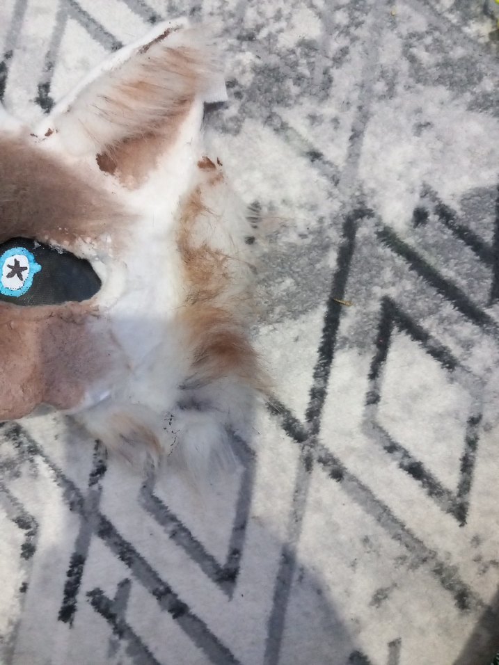 Siyam Kedi Therian mask - Görsel 2