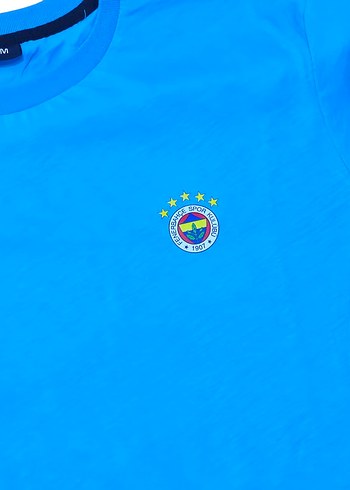 Fenerbahçe Taraftar Erkek Bisiklet Yaka Tişört - Görsel 3