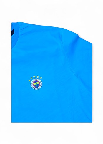 Fenerbahçe Taraftar Erkek Bisiklet Yaka Tişört - Görsel 5