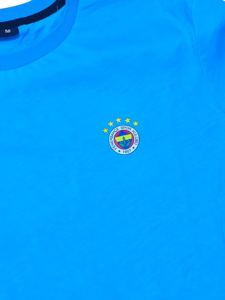 Fenerbahçe Taraftar Erkek Bisiklet Yaka Tişört - Görsel 3