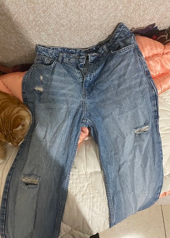 Kadın Mavi Midi Kot Pantolon Fermuarlı - Görsel 5