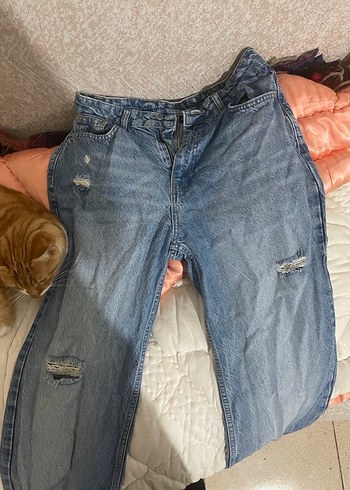 Kadın Mavi Midi Kot Pantolon Fermuarlı - Görsel 6