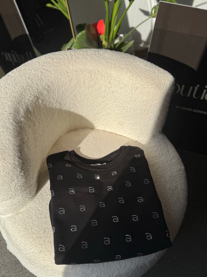 Alexanderwang S M L SWEAT - Görsel 4