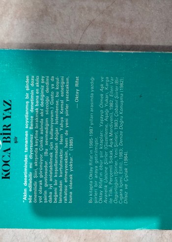 koca bir yaz şiir kitabı - Görsel 2