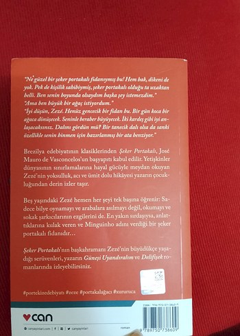 Şeker Portakalı - José Mauro de Vasconcelos - Görsel 2