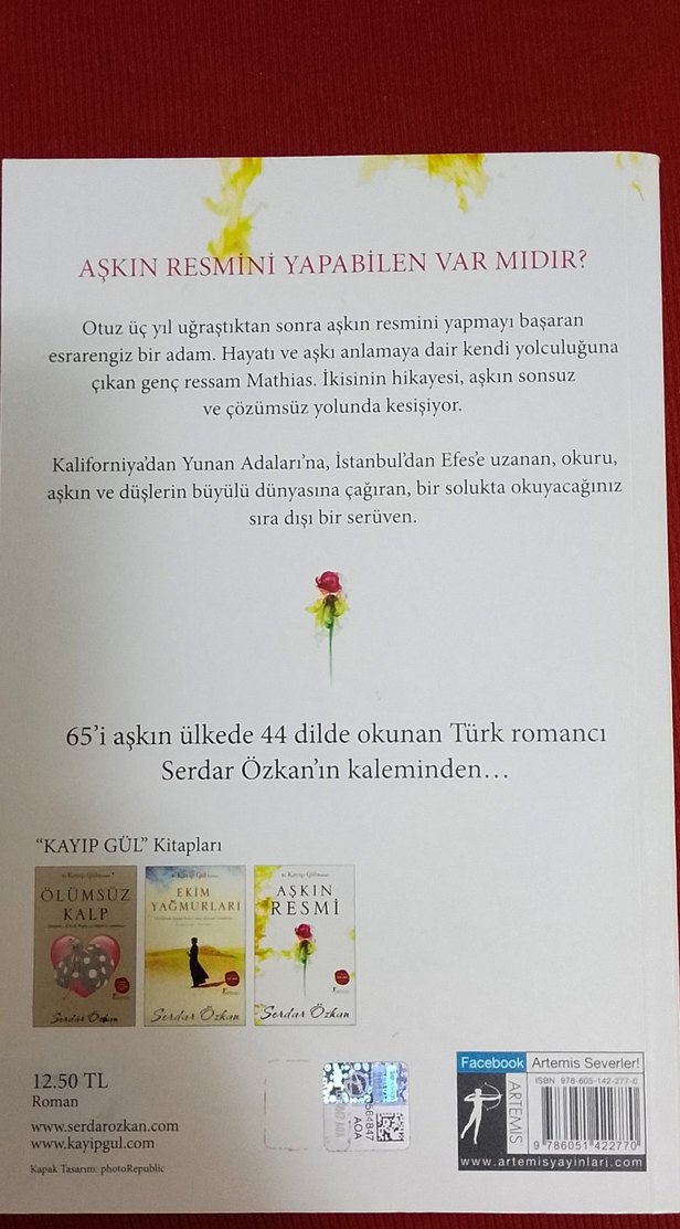 Aşkın Resmi - Serdar Özkan - Görsel 2