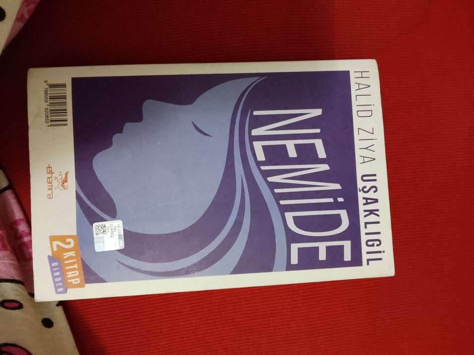 Gramofon vrat ve nemide - Sanat Kitabı - Görsel 2
