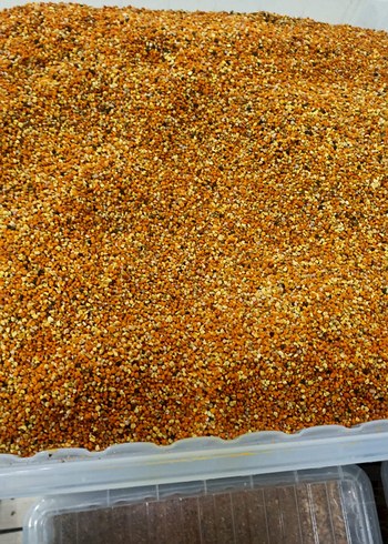 Pollen