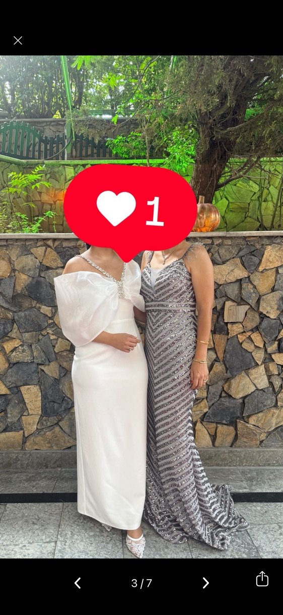 Gri Payetli V Yakalı Uzun Abiye Elbise - Görsel 3