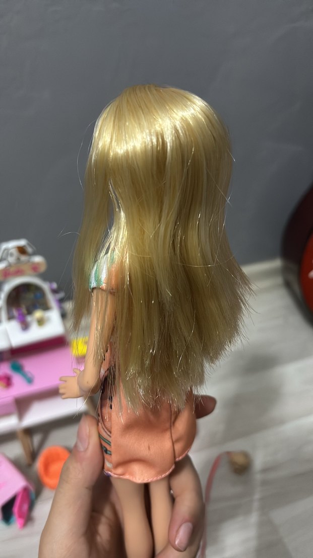 Barbie ve Evcil Hayvan Dükkanı Seti - Görsel 5