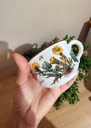 American Vintage Vintage Kupa