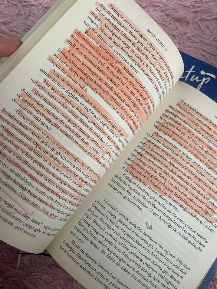 Kutup Yıldızı 3 - Mehtap Fırat Adet fiyatıdır - Görsel 4