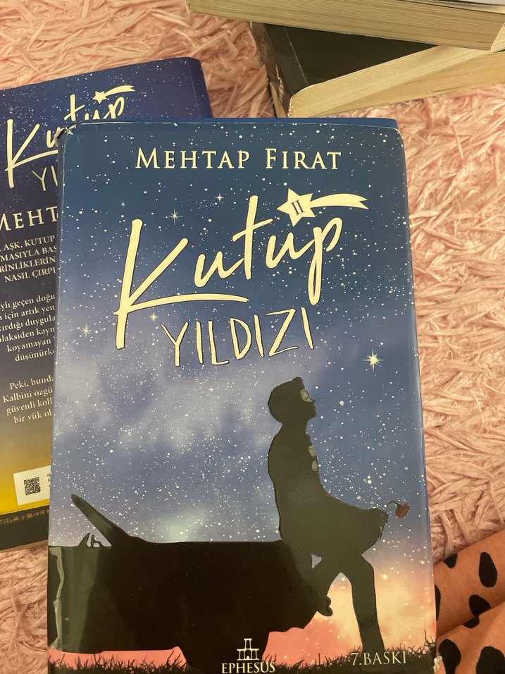 Kutup Yıldızı 3 - Mehtap Fırat Adet fiyatıdır - Görsel 2