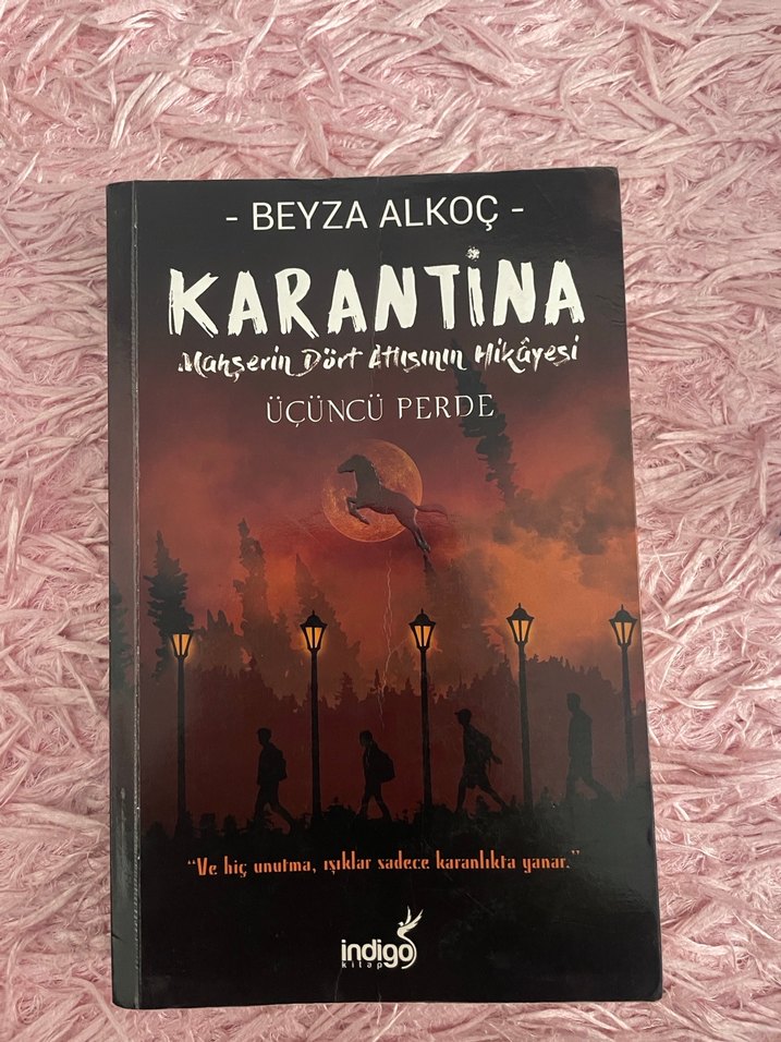 Beyza Alkoç Adet Fiyatıdır ilan açtırın - Görsel 2