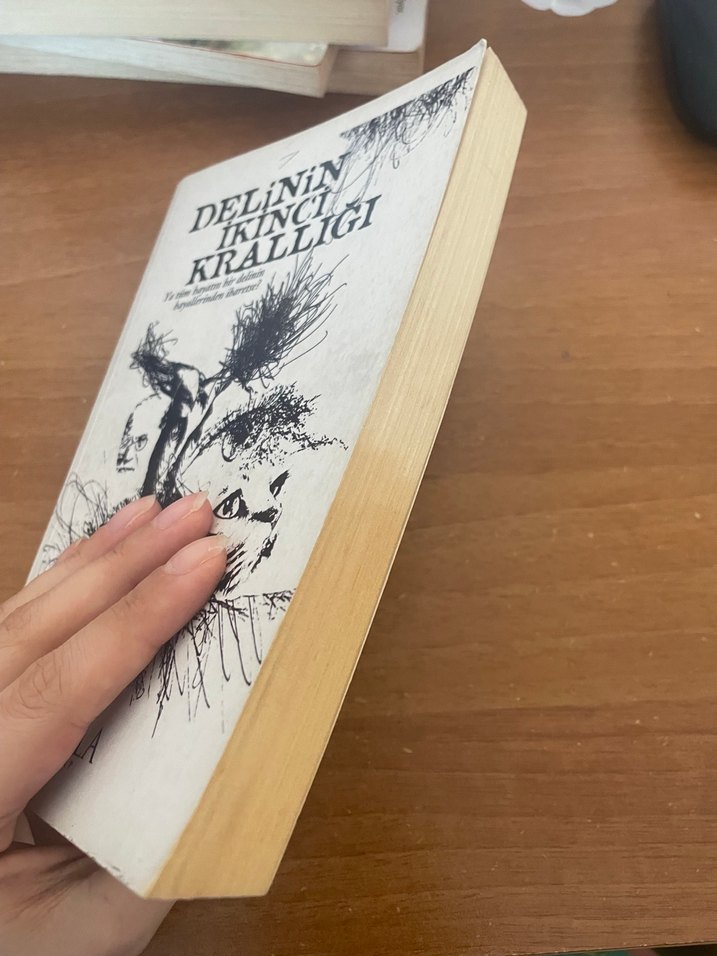 Delinin İkinci Krallığı - Umut Onur Çöpür - Görsel 2