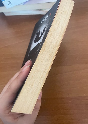 Carol Gömülmeden - Josh Malerman - Görsel 2