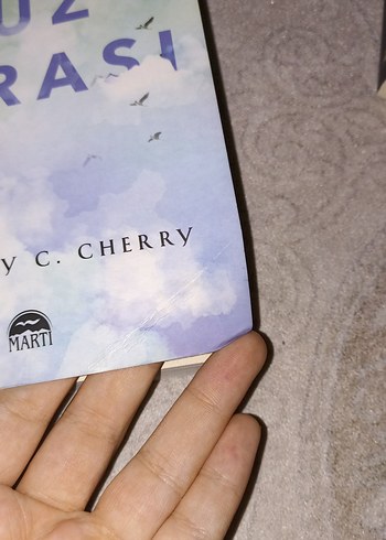  Beden Yüz Karası - Brittainy C. Cherry