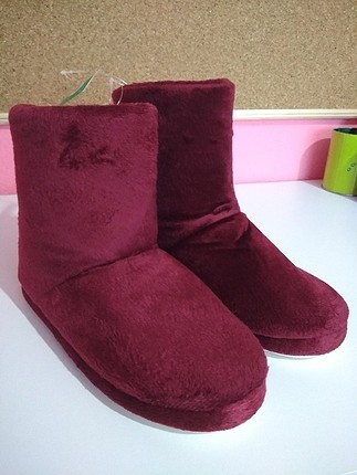 BORDO EV BOTU