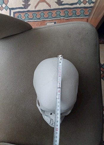 Beyaz Kafatası Model Kiti - Görsel 10