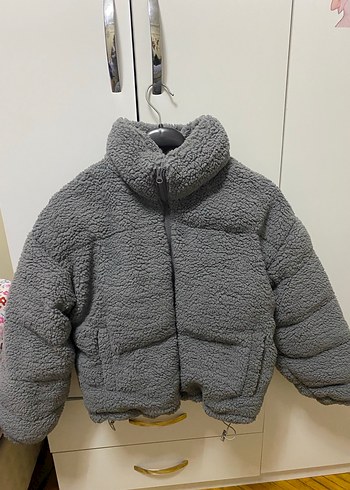Teddy Bear Mont