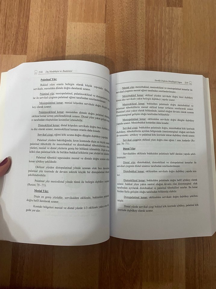Diş Morfolojisi ve Anatomisi Kitabı - Görsel 3