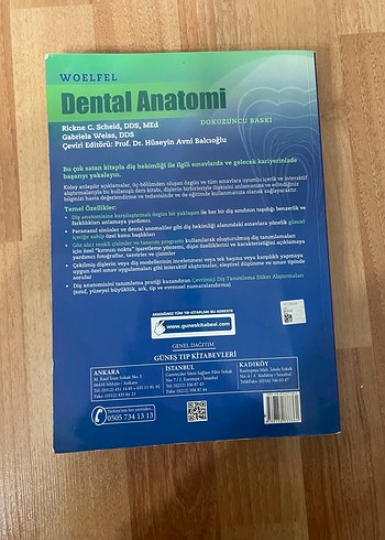 Woelfel Dental Anatomi Kitabı - Dokuzuncu Baskı - Görsel 3