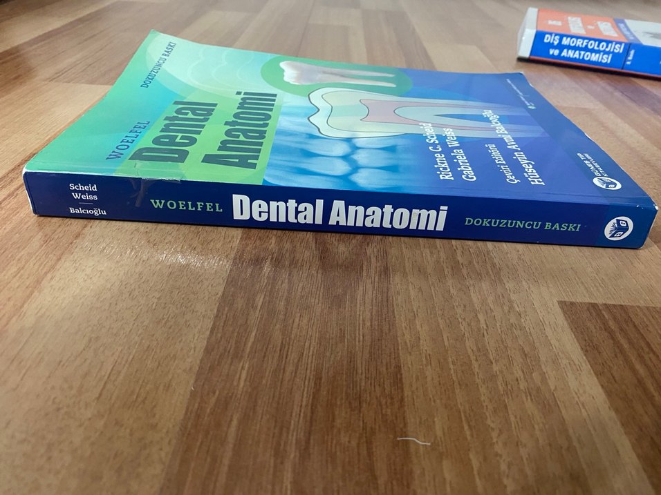 Woelfel Dental Anatomi Kitabı - Dokuzuncu Baskı - Görsel 2
