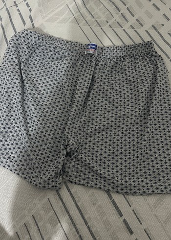 Erkek boxser - Görsel 3