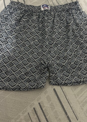 Gri erkek boxser - Görsel 3