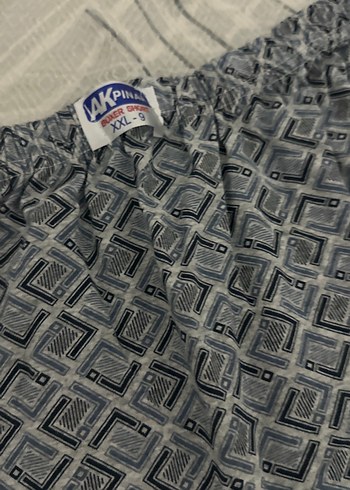 Gri erkek boxser - Görsel 2