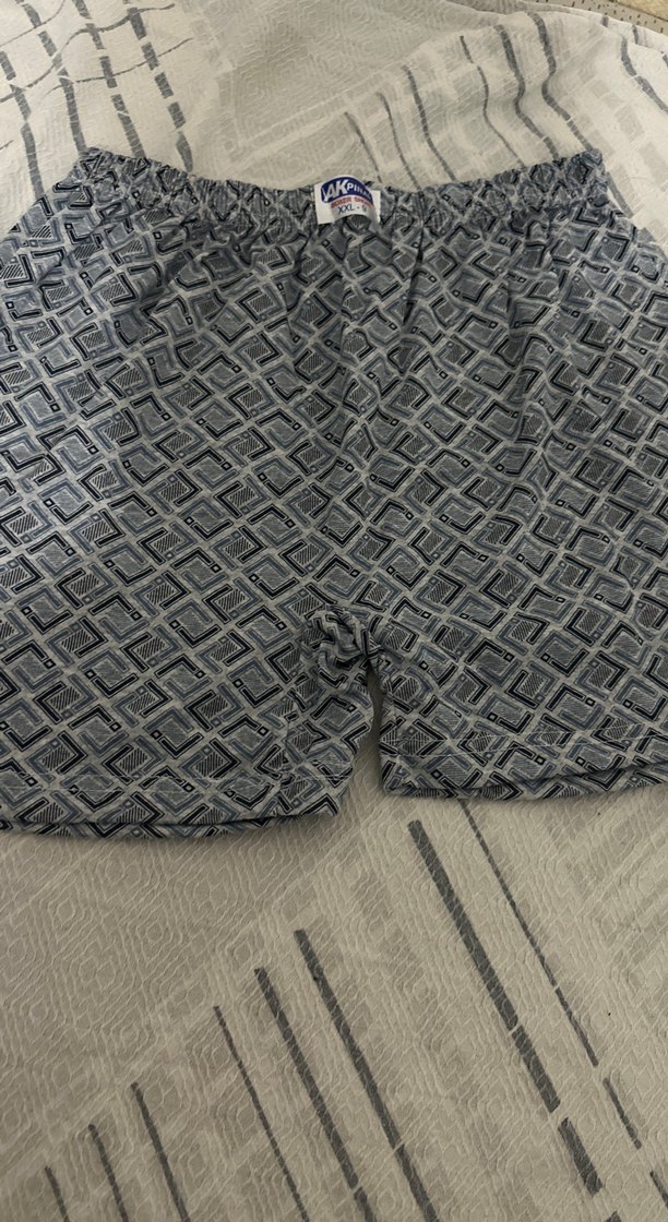 Gri erkek boxser - Görsel 3