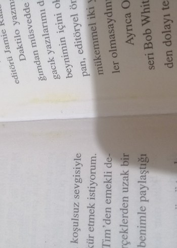 Nelson DeMille Son Uçuş Roman - Görsel 4