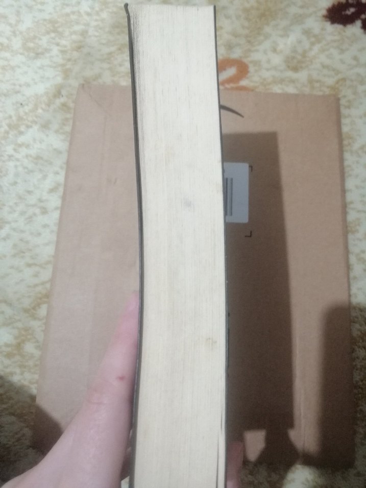 Nelson DeMille Son Uçuş Roman - Görsel 3