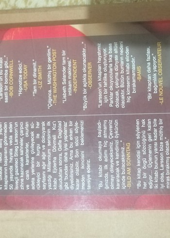 Ejderha Dövmeli Kız Romanı - Görsel 2