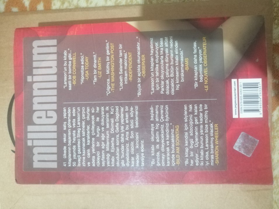 Ejderha Dövmeli Kız Romanı - Görsel 2