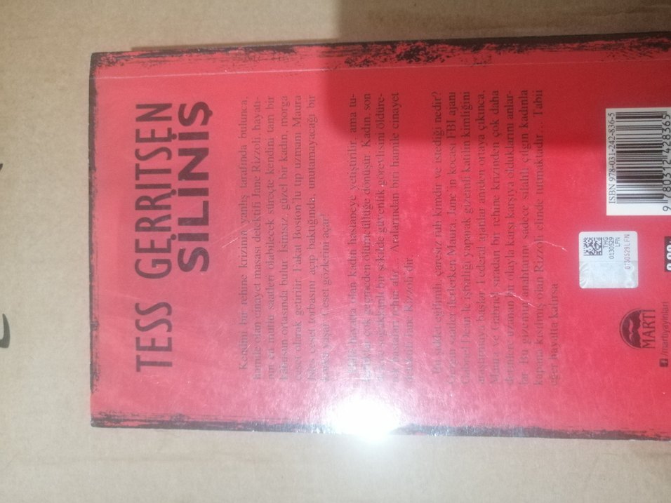 SİLİNİŞ - Novel - Görsel 2