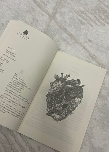 Beden Renk Han Kang - Çocuk Geliyor Romanı