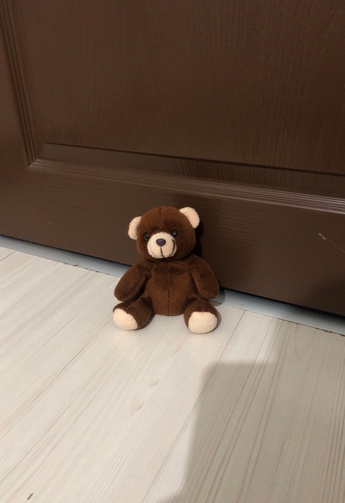 Küçük Kahverengi Peluş Ayıcık - Görsel 3