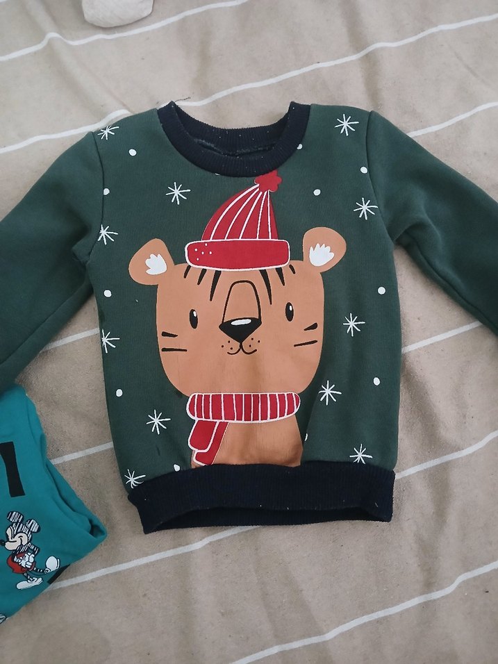 Erkek Çocuk Baskılı Uzun Kollu Sweatshirt - Görsel 4