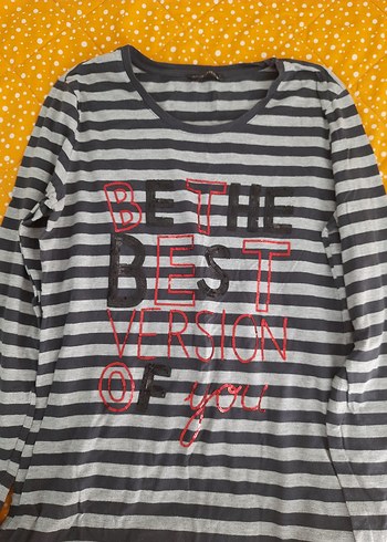 Sevenhill Standart Beden