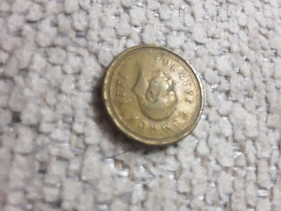 Altın Renkli Erkek Rozeti 5000 Yazılı - Görsel 2