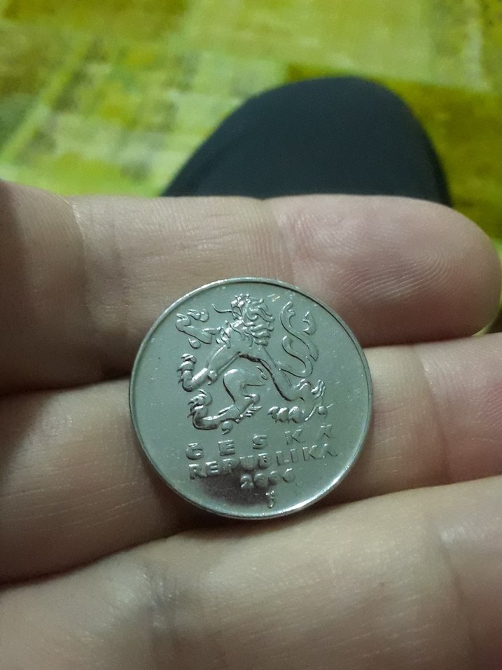 Gri Minimalist Erkek Rozeti - Görsel 2