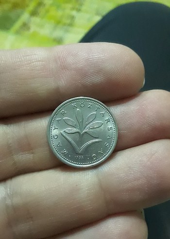 Gri 2 Forint Madeni Para - Görsel 2