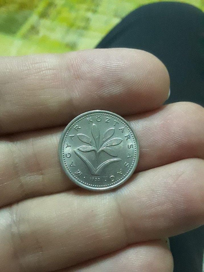 Gri 2 Forint Madeni Para - Görsel 2